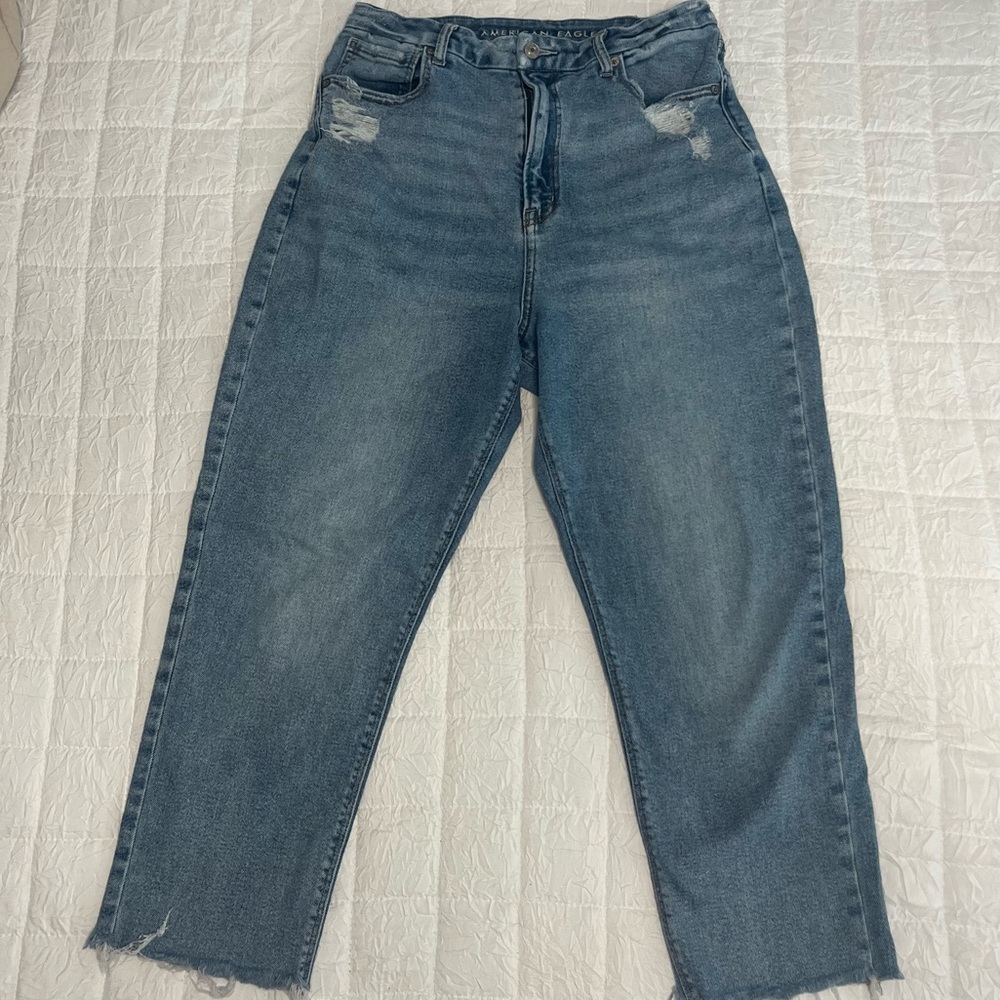 American Eagle Outfitters Blue Ankle Cropped Jeans